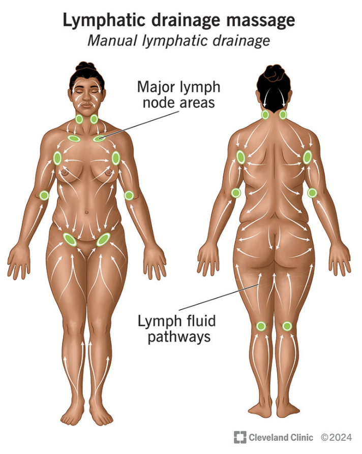 Lymphatic Drainage Massage in Annapolis, MD
